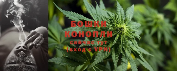 стафф Надым