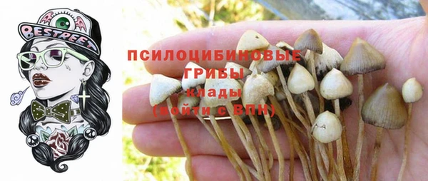 mdma Михайлов