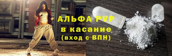 стафф Надым