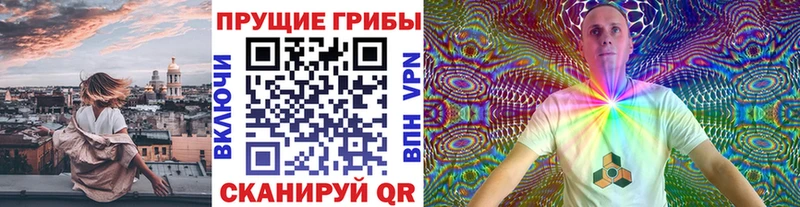Купить закладки  Минусинск  Псилоцибиновые грибы мицелий 